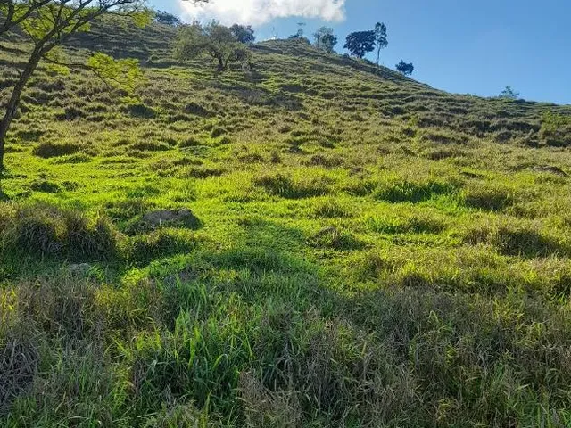 Imagem 12: Vendo Excelente Sítio em Bonfim/Mg ,Com 9 Hectares de Área Total (90.000 M²)