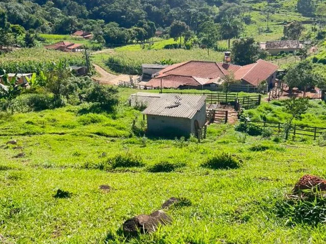 Imagem 11: Vendo um excelente sítio em Crucilândia/MG , área total de 3 hectares (30.000 m²