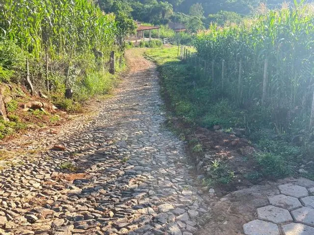 Imagem 4: Vendo um excelente sítio em Crucilândia/MG , área total de 3 hectares (30.000 m²