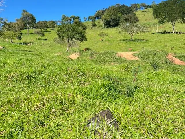 Imagem 5: Vendo um excelente sítio em Crucilândia/MG , área total de 3 hectares (30.000 m²