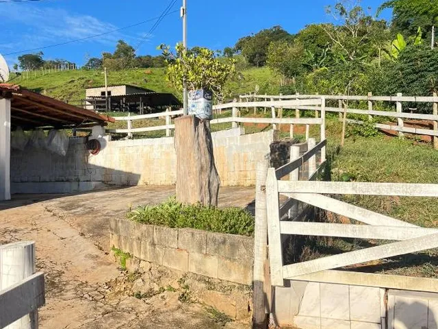 Imagem 6: Vendo um excelente sítio em Crucilândia/MG , área total de 3 hectares (30.000 m²