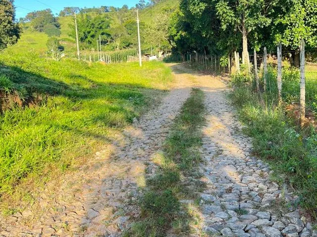 Imagem 7: Vendo um excelente sítio em Crucilândia/MG , área total de 3 hectares (30.000 m²