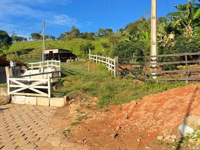 Imagem 9: Vendo um excelente sítio em Crucilândia/MG , área total de 3 hectares (30.000 m²