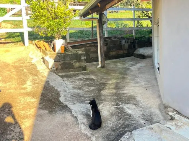 Imagem 12: Vendo um excelente sítio em Crucilândia/MG , área total de 3 hectares (30.000 m²