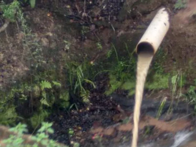 Imagem 6: Vendo um belíssimo sítio em Crucilândia/MG, com 15.000 m² de terreno
