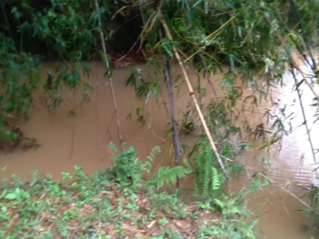 Imagem 13: Vendo um belíssimo sítio em Crucilândia/MG, com 15.000 m² de terreno
