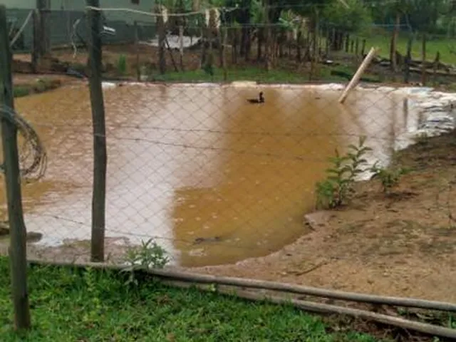 Imagem 15: Vendo um belíssimo sítio em Crucilândia/MG, com 15.000 m² de terreno