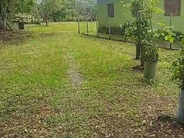 Imagem 12: Vendo um ótimo sítio na região de Bom Despacho , com 18.600 m² de terra