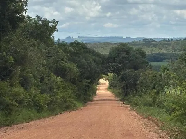 Imagem 14: Vendo um ótimo sítio na região de Bom Despacho , com 18.600 m² de terra