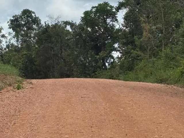 Imagem 15: Vendo um ótimo sítio na região de Bom Despacho , com 18.600 m² de terra