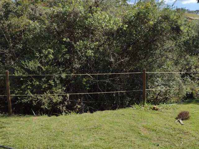 Imagem 16: Sítio a venda com 6.000 m², localizado em Crucilândia/ MG