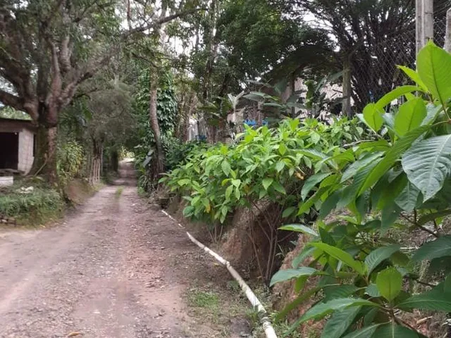 Imagem 5: Sítio a venda de 8,6 hectares (86.000 m²) em Brumadinho/MG