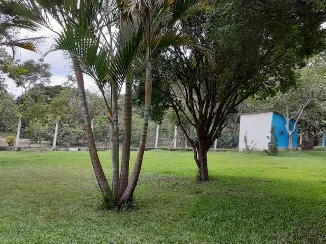 Imagem 12: Sítio a venda de 8,6 hectares (86.000 m²) em Brumadinho/MG