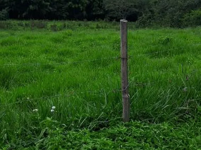 Imagem 13: Sítio a venda de 8,6 hectares (86.000 m²) em Brumadinho/MG