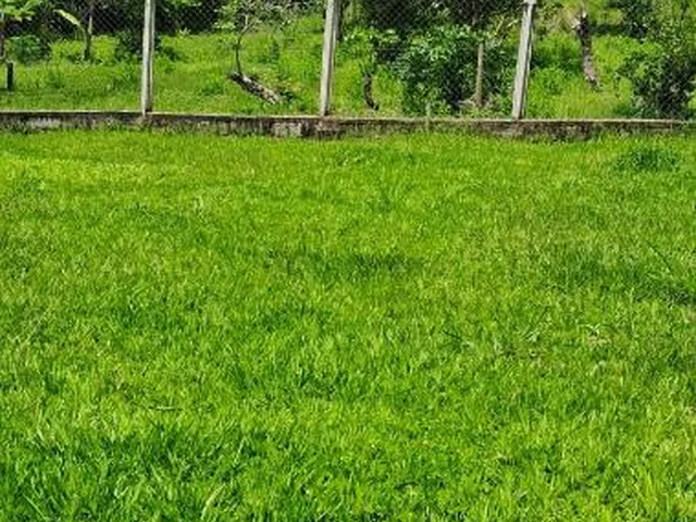 Imagem 14: Sítio a venda de 8,6 hectares (86.000 m²) em Brumadinho/MG