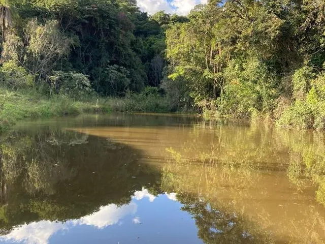 Imagem 3: Vendo Sítio/Fazendinha em Florestal/MG - com 27 hectares de terra
