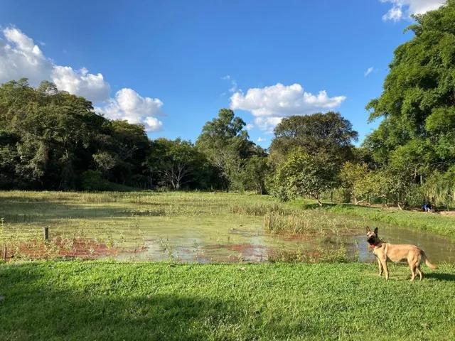 Imagem 5: Vendo Sítio/Fazendinha em Florestal/MG - com 27 hectares de terra