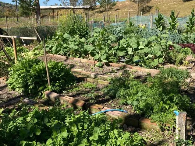 Imagem 7: Vendo Sítio/Fazendinha em Florestal/MG - com 27 hectares de terra