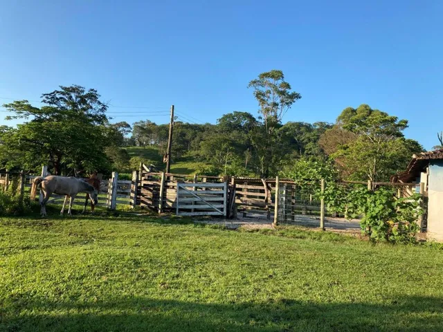 Imagem 8: Vendo Sítio/Fazendinha em Florestal/MG - com 27 hectares de terra