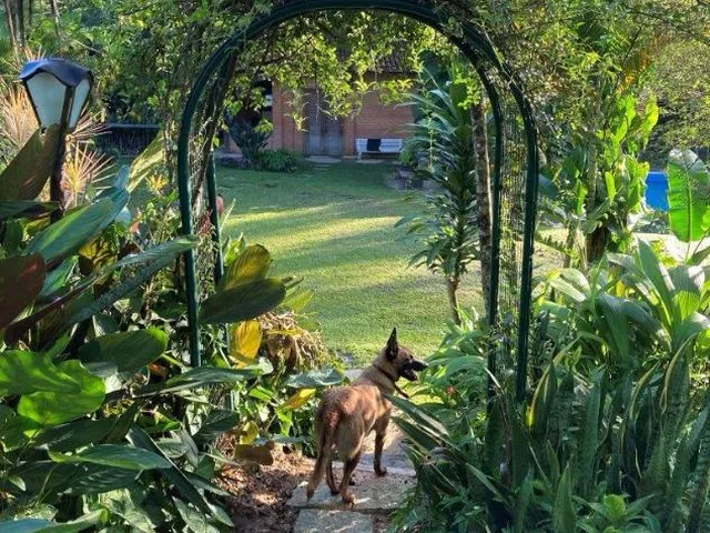 Imagem 9: Vendo Sítio/Fazendinha em Florestal/MG - com 27 hectares de terra