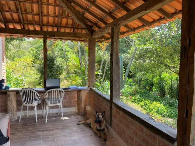 Imagem 6: Vendo Sítio/Fazendinha em Florestal/MG - com 27 hectares de terra