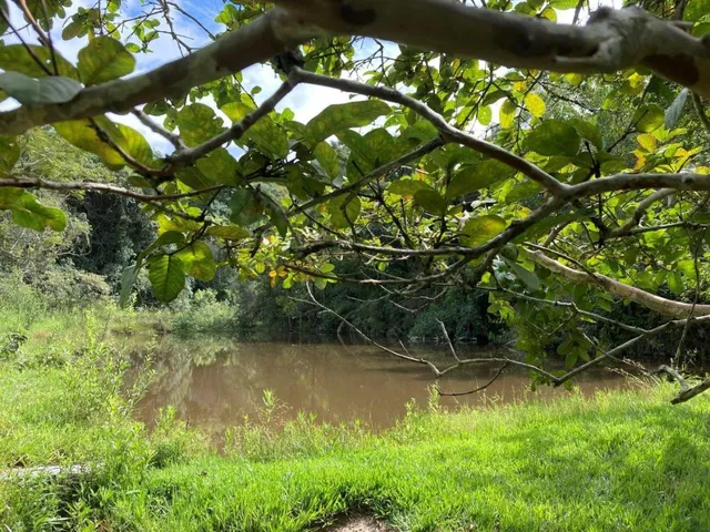 Imagem 12: Vendo Sítio/Fazendinha em Florestal/MG - com 27 hectares de terra