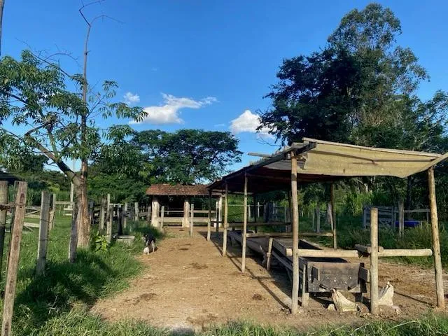 Imagem 15: Vendo Sítio/Fazendinha em Florestal/MG - com 27 hectares de terra