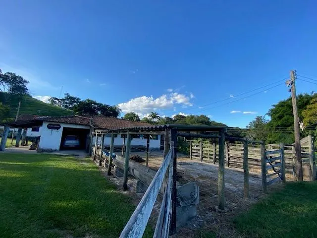 Imagem 16: Vendo Sítio/Fazendinha em Florestal/MG - com 27 hectares de terra