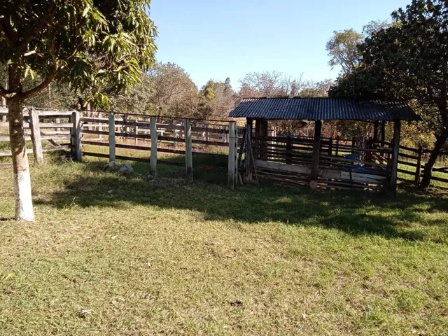 Imagem 12: Vendo um excelente sítio na cidade de Piracema/Mg com 5 hectares de terra