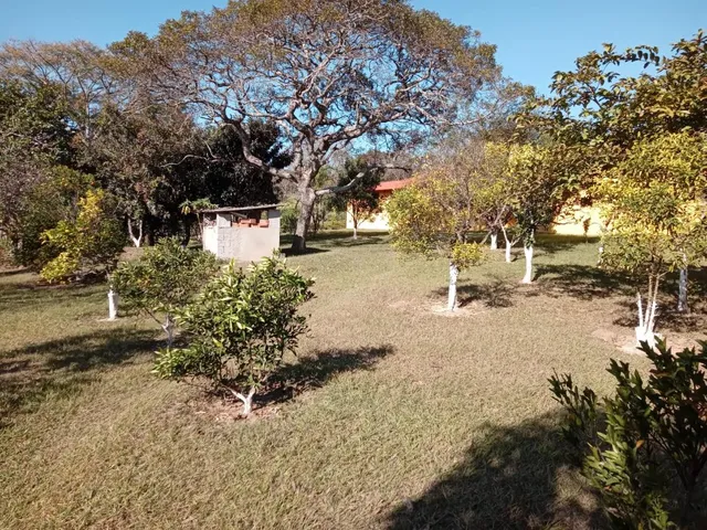 Imagem 4: Vendo um excelente sítio na cidade de Piracema/Mg com 5 hectares de terra