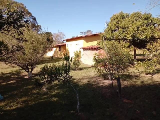 Imagem 5: Vendo um excelente sítio na cidade de Piracema/Mg com 5 hectares de terra