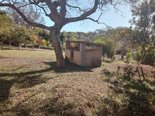 Imagem 7: Vendo um excelente sítio na cidade de Piracema/Mg com 5 hectares de terra