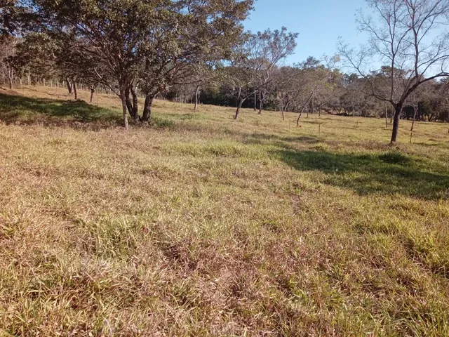 Imagem 8: Vendo um excelente sítio na cidade de Piracema/Mg com 5 hectares de terra