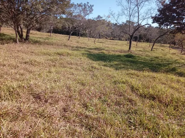 Imagem 11: Vendo um excelente sítio na cidade de Piracema/Mg com 5 hectares de terra