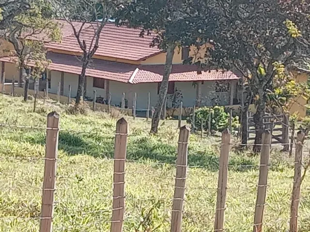 Imagem 10: Vendo um excelente sítio na cidade de Piracema/Mg com 5 hectares de terra