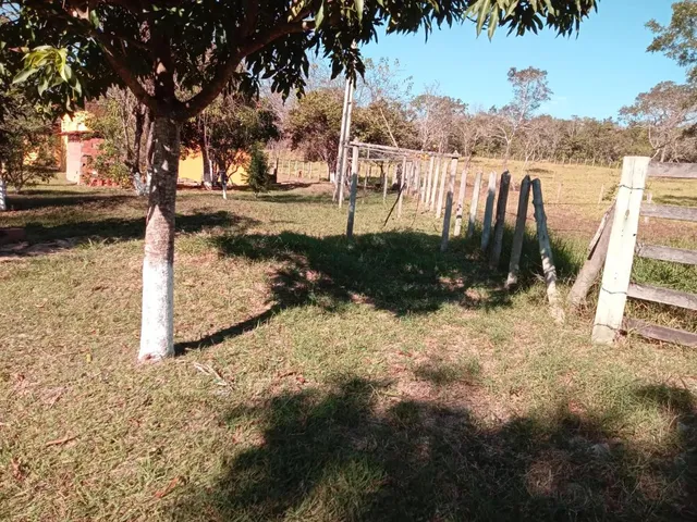 Imagem 13: Vendo um excelente sítio na cidade de Piracema/Mg com 5 hectares de terra