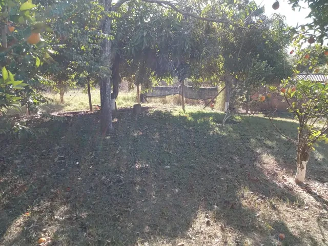 Imagem 14: Vendo um excelente sítio na cidade de Piracema/Mg com 5 hectares de terra