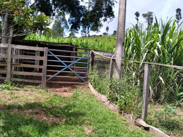 Imagem 5: Vendo um ótimo sítio em Itaguara/Mg com 78.000 m² de terra