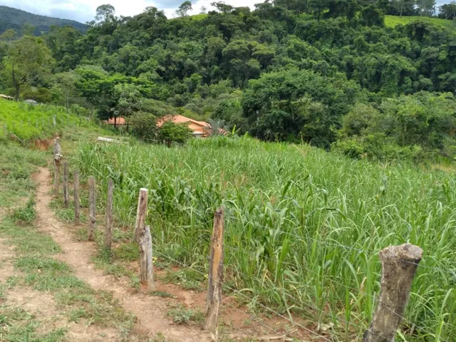 Imagem 3: Vendo um ótimo sítio em Itaguara/Mg com 78.000 m² de terra