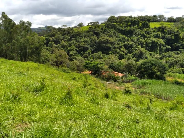 Imagem 11: Vendo um ótimo sítio em Itaguara/Mg com 78.000 m² de terra