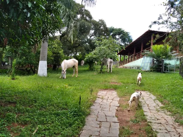 Imagem 12: Vendo um ótimo sítio em Itaguara/Mg com 78.000 m² de terra