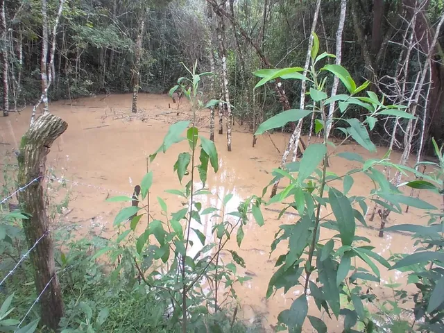 Imagem 14: Vendo um ótimo sítio em Itaguara/Mg com 78.000 m² de terra