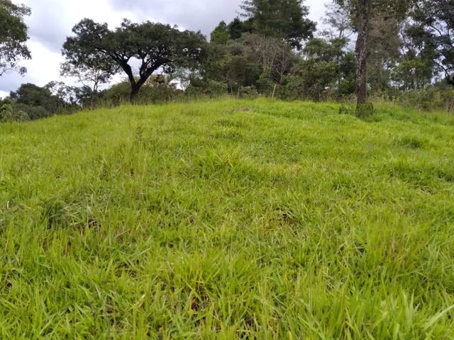 Imagem 16: Vendo um ótimo sítio em Itaguara/Mg com 78.000 m² de terra