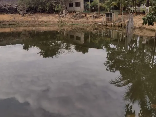 Imagem: Vendo um ótimo sítio em São Joaquim de