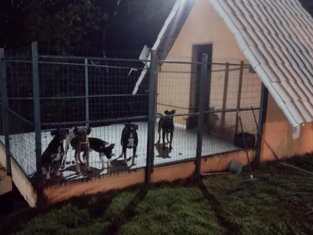 Imagem 13: Vendo Um Excelente Sítio em Bonfim/Mg com 5.525 M² de Área