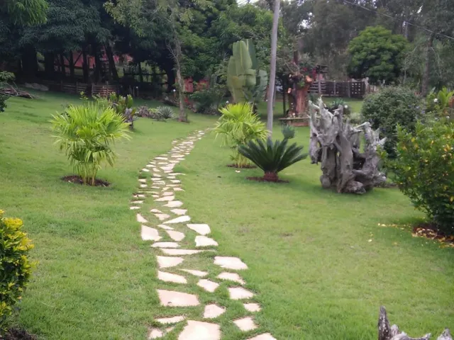 Imagem 4: Vendo um belíssimo sítio em Carmópolis de Minas com 10 hectares de terra