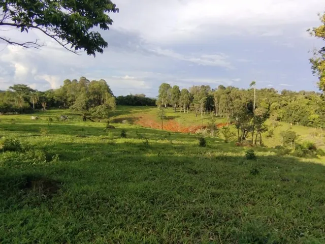 Imagem 15: Vendo um belíssimo sítio em Carmópolis de Minas com 10 hectares de terra