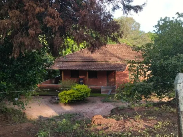 Imagem 16: Vendo um belíssimo sítio em Carmópolis de Minas com 10 hectares de terra