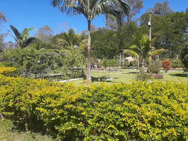 Imagem 15: Vendo Lindíssimo Sítio em Itatiaiuçu/MG com 2 hectares (20.000 m²) de área