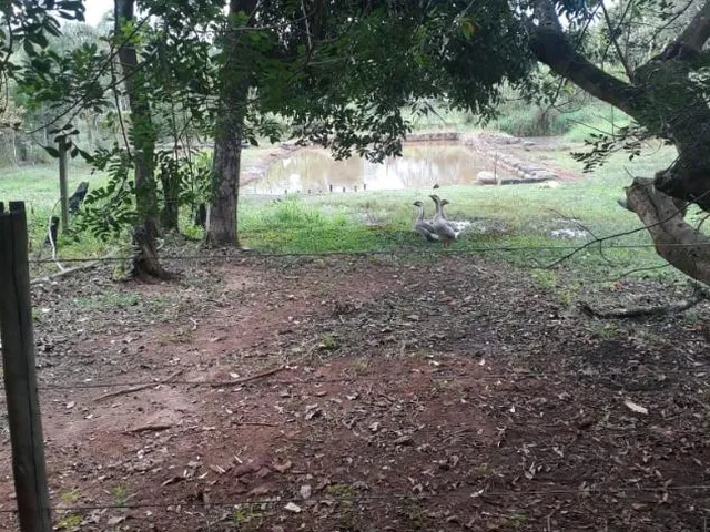 Imagem 2: Venda de Sítio em Igarapé/MG / com 8.000 m²
